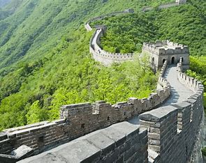 12: The Great Wall of Human Body