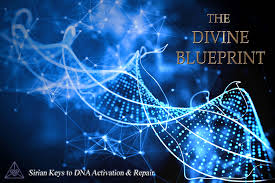 27: DNA 2 THE MAGNIFICENCE